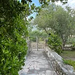 Hosta * Hvar Town