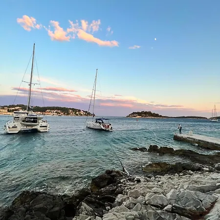 Hosta * Hvar Town